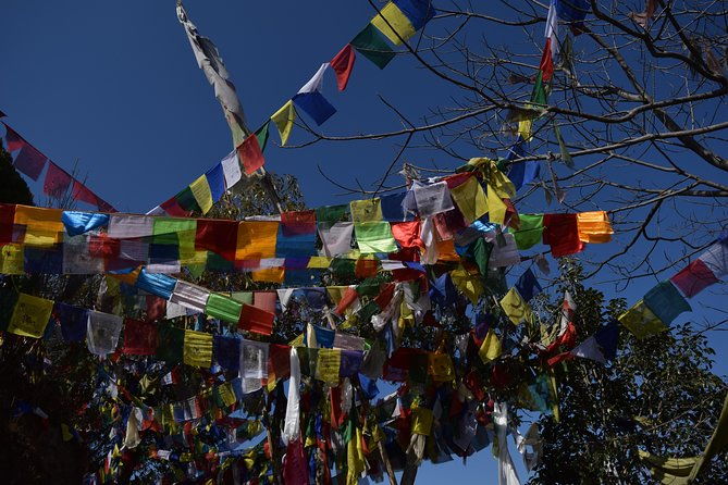 Namo Buddha and Thrangu Tashi Yangtse Monastery Half-Day Tour - Why This Tour Offers Great Value