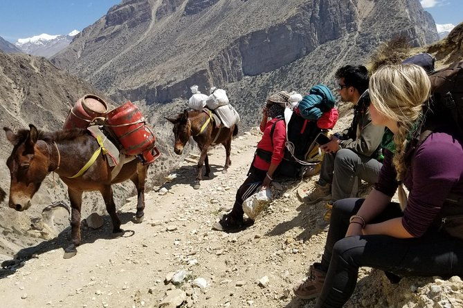 Nar Phu Valley Trek - 12 Days - The Mountain and Cultural Riches