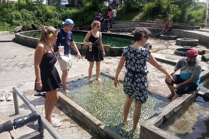 Nature Tour to Kuala Selangor Fireflies and Selayang Hotspring - FAQ