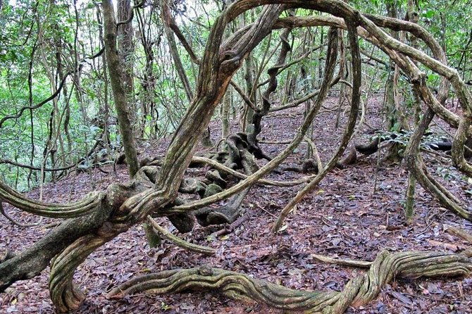 Nature Tour to Udawatte Kele Sanctuary, Kandy from Bentota - Why This Tour Offers Good Value