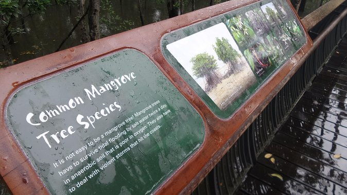 Nature Tour - Who Should Book This Tour?