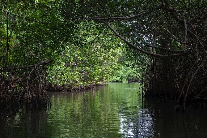 Negombo City Tour & String Hopper Cooking Experience  Half Day - Itinerary Breakdown