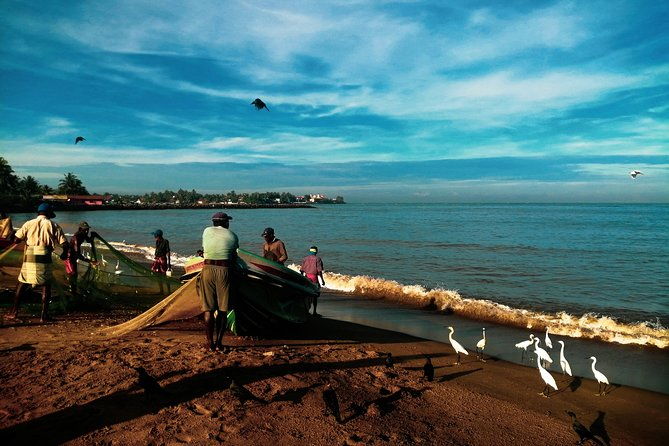 Negombo Day Tour - What Reviewers Say