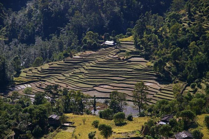 Nepal Round Tour with Annapurna Trek 14 Days - Transportation and Accommodation: Comfort Meets Convenience