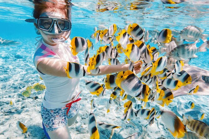 Nha Trang 3 Island VIP Tour - Practical Details: What You Need to Know