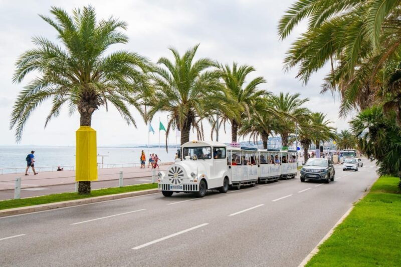 Nice: A gentle ride on a little electric train with a panoramic view - What to Expect: The Itinerary and Highlights