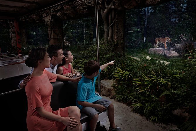 Night Safari with Buffet Dinner with hotel pick-up - Final Thoughts: Is It Worth It?