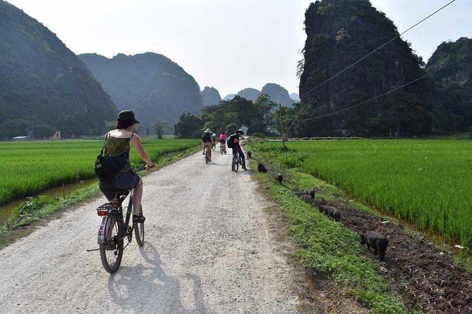 Ninh Binh Full Day Tour: Bai Dinh Pagoda - Trang An - Mua Cave - Navigating the Waterways at Trang An