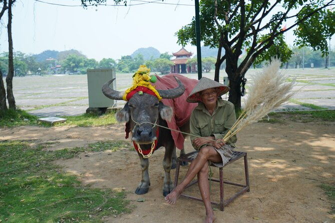 Ninh Binh One Day Trips- from Hanoi - Authentic Experiences and Insights from Reviews