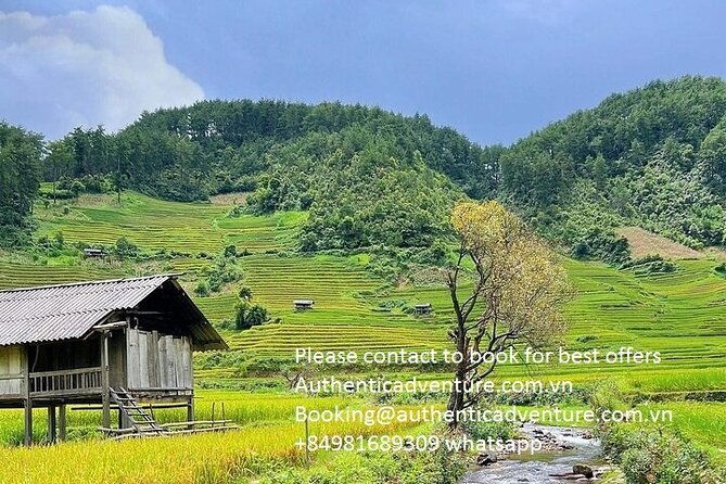 Ninh Binh - Pu Luong | Best Optional Choices | 3 - 4 days Tours - Why This Tour Offers Great Value