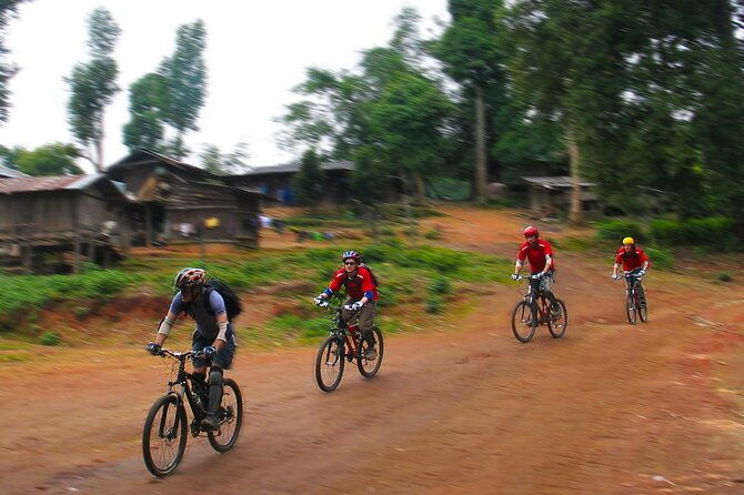 No.1 Chiang Mai: Epic Doi Suthep Downhill MTB Adventure - The Itinerary in Detail