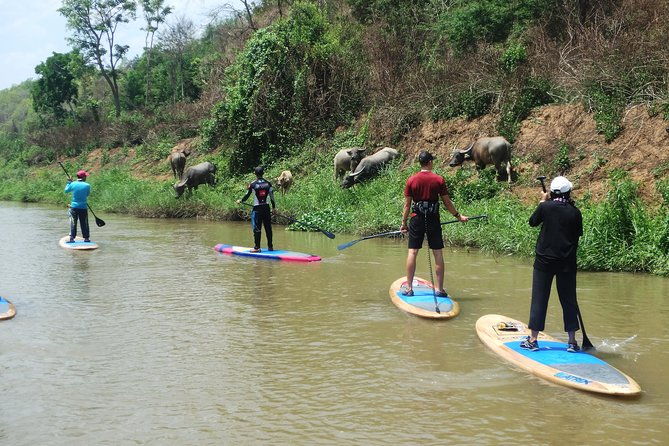 No.1 Chiang Mai: Stand Up Paddle Board through Mae Taeng Forest - Authentic Insights from Reviewers