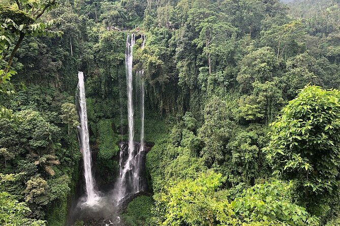 North Bali Tour: Banyumala Waterfall & Wanagiri Hidden Hills - Why This Tour Offers Great Value