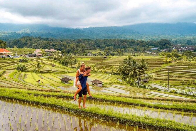 Northern Bali Tour - Private Full Day Tour - All Inclusive - Exploring Bali’s Northern Treasures: A Deep Dive