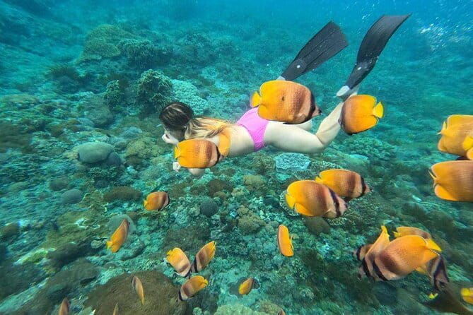 Nusa Lembongan Snorkeling with Manta Bay & Island Tour from Bali - What Travelers Love About This Tour