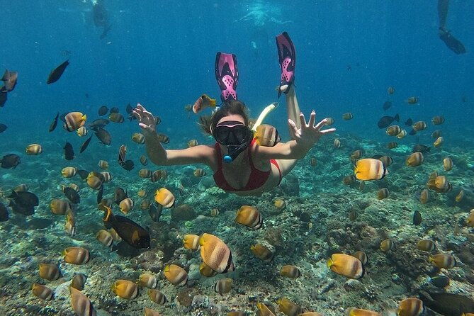 Nusa Penida by Private Boat - Snorkeling 4 spots, Swim with Mantas + Land Tour - Who Should Consider This Tour?