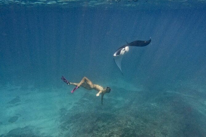 Nusa Penida day trip: boat, 4 snorkeling, Manta rays & Land tour - Why This Tour Offers Great Value