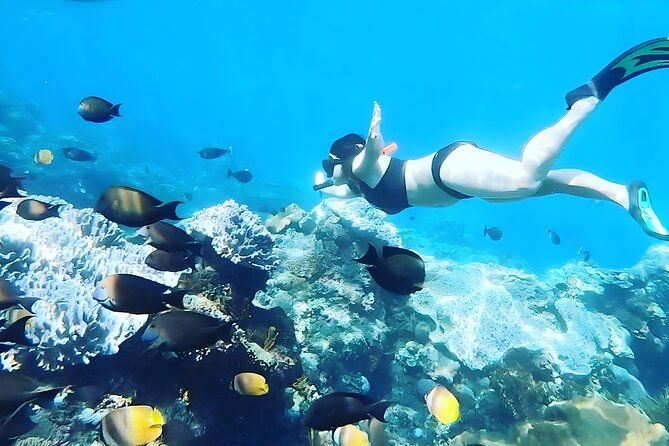Nusa Penida Island Beach Tour With Snorkeling - Departure From Bali Island - Gamat Bay: Vibrant Underwater World