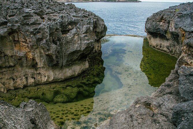 Nusa Penida One Day Trip to Instagrammable Spot by Penidago - Food and Local Flavor