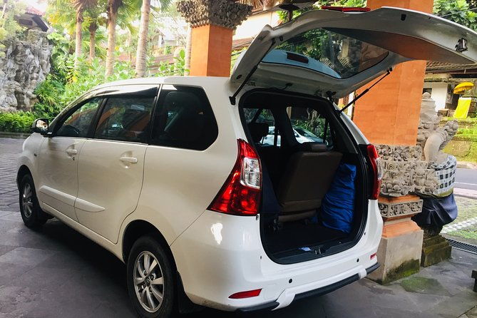 Nusa Penida Private Car Charter - Who Should Consider This Tour?