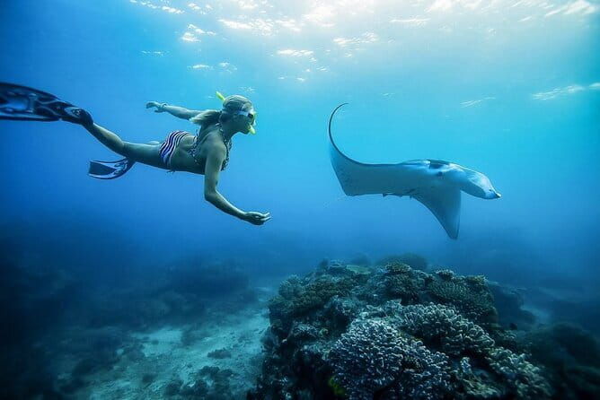 Nusa Penida Private Snorkeling and Land Tour Start from Bali - Authentic Insights from Reviewers