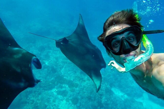 Nusa Penida Snorkeling with Manta Bay & Island Tour - The Realities of the Experience