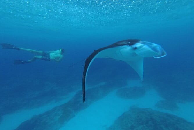 Nusa Penida Snorkling Package - Practical Tips for Your Snorkeling Day