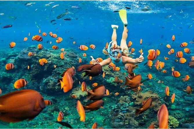 Nusa Penida Trip with Snorkeling all-Inclusive - The Practicalities and Why It’s a Great Choice