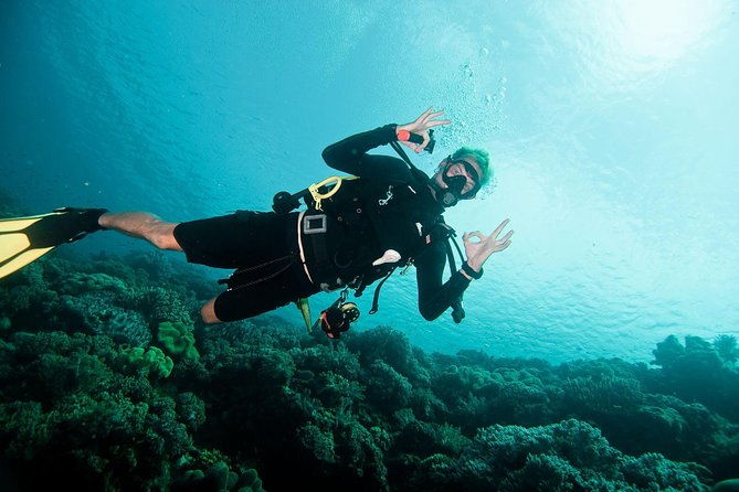 Nusa Penida Two Dives Trip for Certified Divers - Final Thoughts: Is It Worth It?