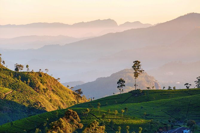 Nuwara Eliya Highlands from Kandy - Who Will Love This Tour?