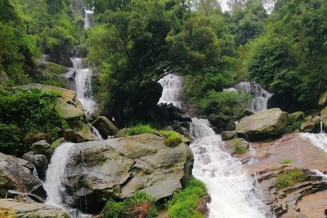 Nuwara Eliya Tea factory and waterfall tour - The Practicalities: How the Tour Works