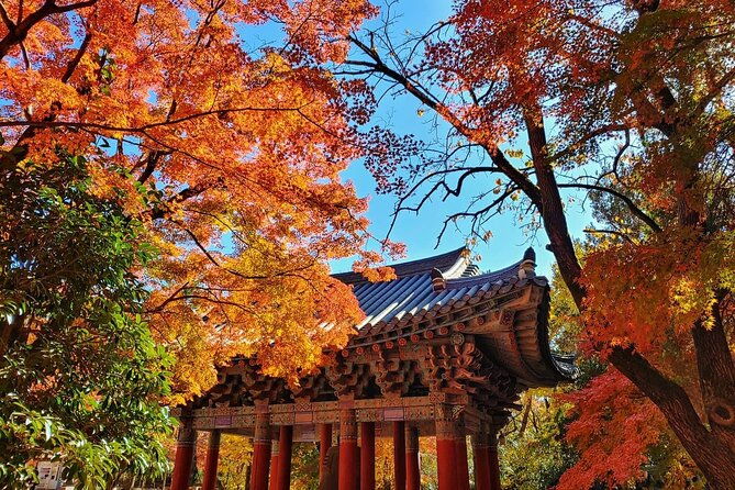 Old Korea Thousand History Tour of Gyeongju from Busan - Practical Tips for the Tour