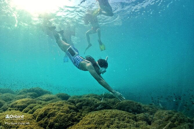 OnBird - PRIVATE ADVENTURE SNORKELING - explore Half-moon reef & Coral Mountain - Detailed Breakdown of the Itinerary