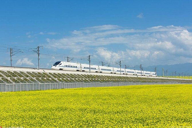 One Day Chengdu Xian Tour by Bullet Train - Arriving in Xian: Your Guide and First Impressions