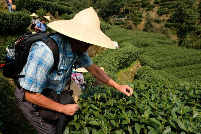 One-Day Hangzhou Dragon Well Tea Culture & West Lake Private Tour - Practical Details and What Makes This Tour Stand Out