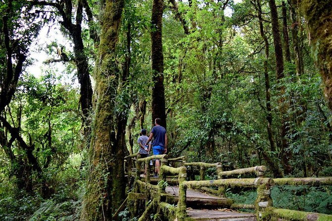 One Day Inthanon National Park (Private Tour) - Overall Value and Suitability