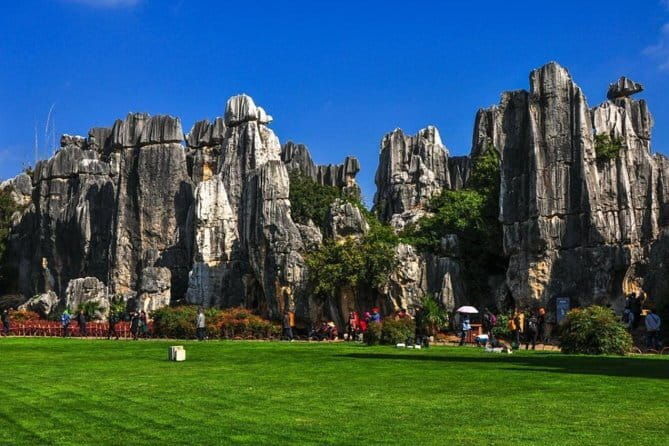 One day Stone Forest and Nuohei Yi Village Tour - Why This Tour Offers Good Value