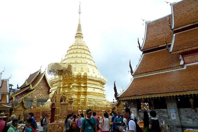 One Day Tour Doi Suthep Temple, Palad Temple, Orchid Farm, Longneck hill tribe village (Private tour) - Comfort, Convenience, and Expert Guidance
