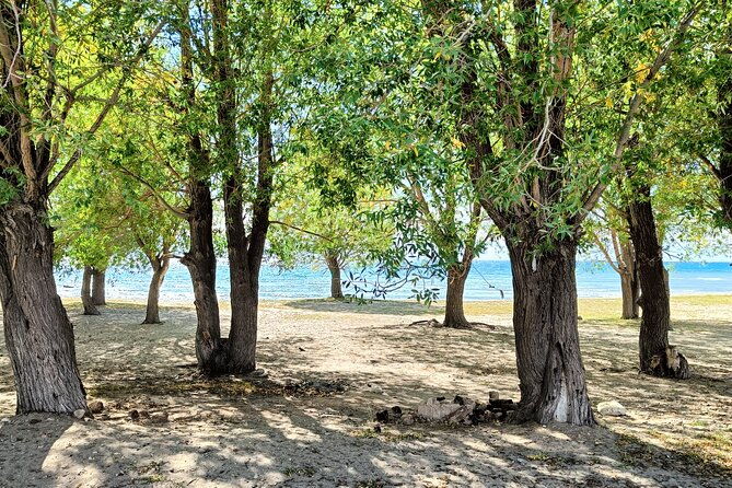One-day tour from Bishkek to Issyk-Kul Lake - The Drawbacks and Considerations