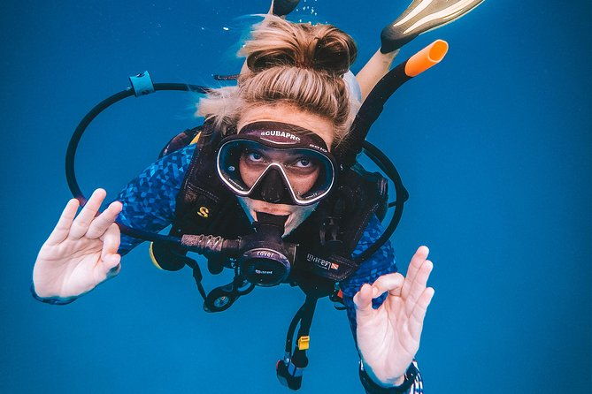 Open Water Course - Authentic Feedback: What Travelers Say