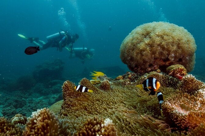 Open Water Diver Course - Practical Details and Tips