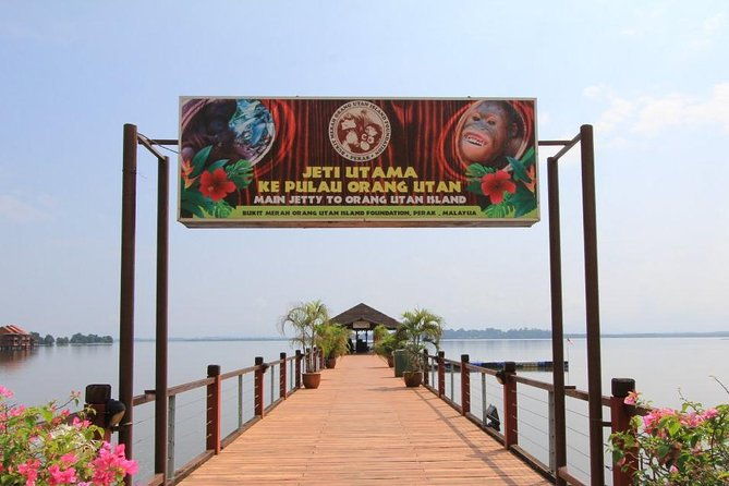 Orang Utan Island and Perak Tong Cave From Kuala Lumpur - Final Thoughts: The Value of a Day Out in Malaysia