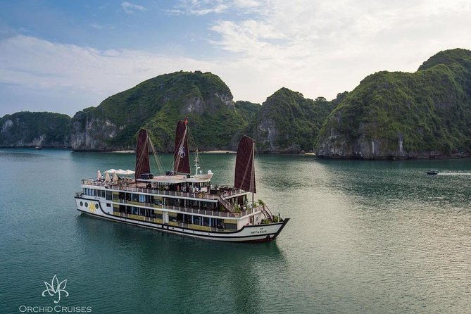 Orchid Cruise Halong Bay 2Days 1Night on 5 Star Cruise - Day 2: From Cat Ba Island to Hanoi