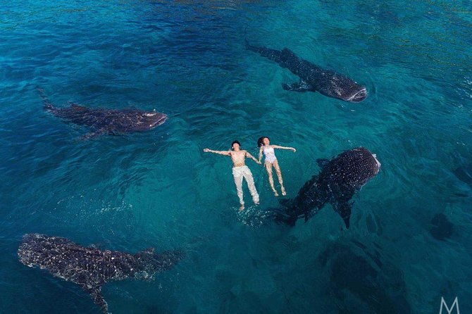 Oslob Whale Shark & Tumalog Falls & Kawasan Falls Canyoneering - What’s Included and What’s Not?