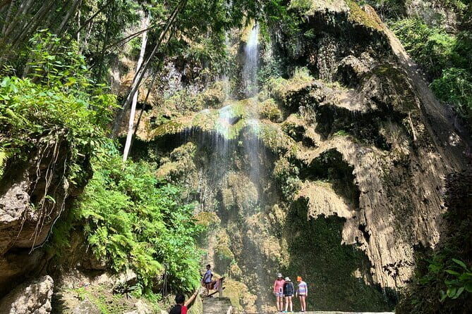 Oslob Whale Shark & Tumalog Waterfalls & Sumilon Sandbar - Arriving at BCD’s Place & Whale Shark Snorkeling