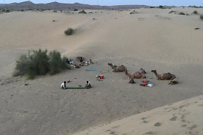 Over Nights Camel Safari Non Touristic 02:30PM - Why This Safari Offers Great Value
