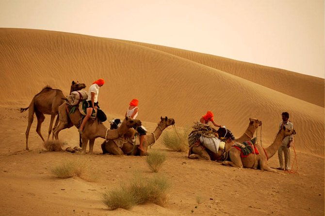 Overnight Camel Safari at Non-Touristic Route - Why This Tour Stands Out