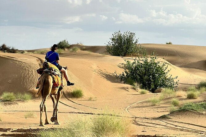 Overnight Camel Safari in Thar Desert - What Makes This Tour Stand Out?