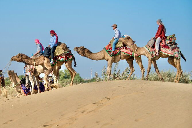 Overnight Camel Safari - Sleeping under the Stars - Early Morning Magic