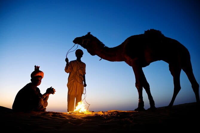 Overnight Camel Safari Tour - Whats Included and What to Consider